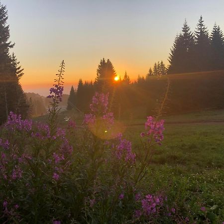 Mecava Apartmani Kopaonik Exteriér fotografie