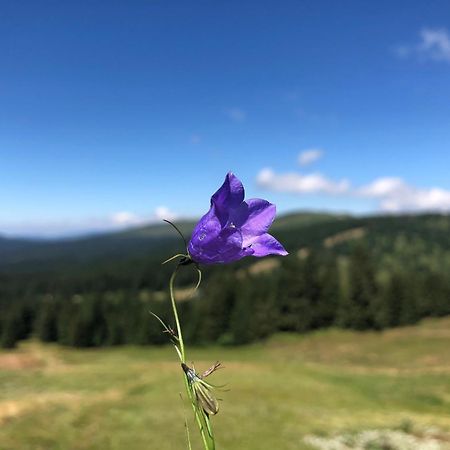 Mecava Apartmani Kopaonik Exteriér fotografie