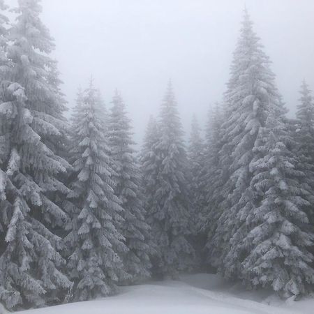 Mecava Apartmani Kopaonik Exteriér fotografie