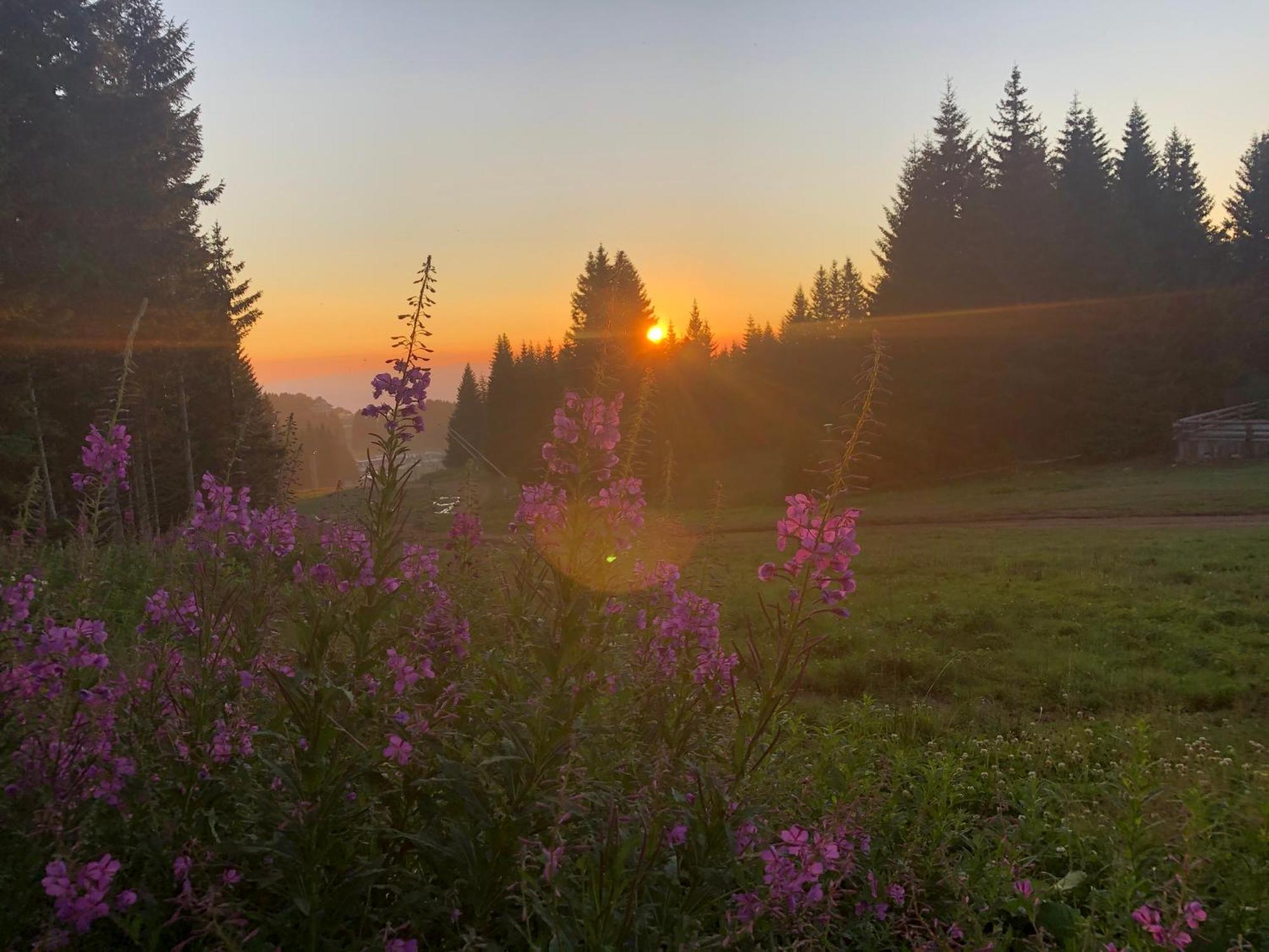 Mecava Apartmani Kopaonik Exteriér fotografie